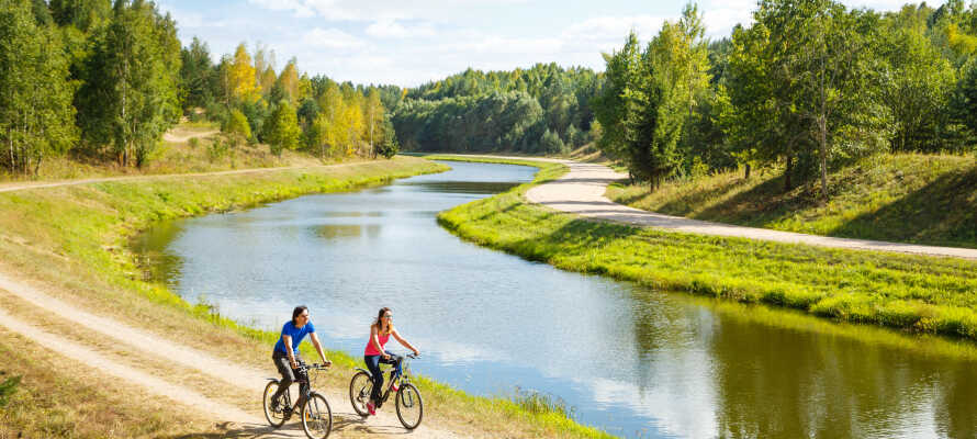 Udforsk naturen, og nyd den friske luft med en cykeltur ved Elben.