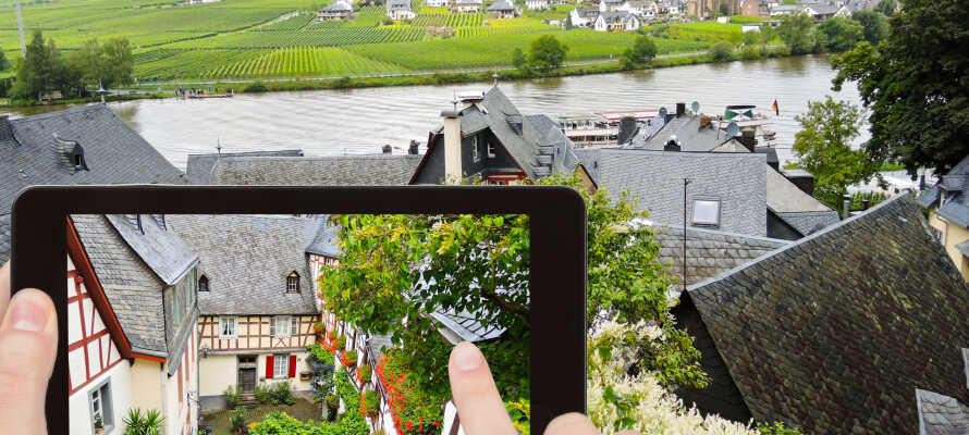 urlaub weingut mosel mit hund