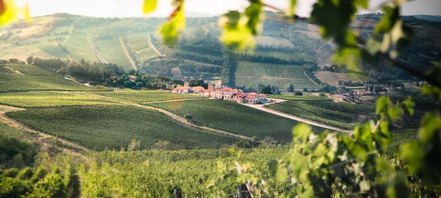 De rullende bakkelandskaber omkring hotellet præges i høj grad af smukke vingårde og idylliske olivenhaver.