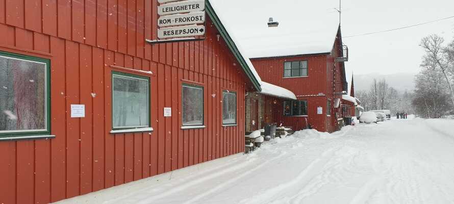 Hotellet ligger tæt på det familievenlige skicenter, Skarslia, og tilbyder et godt udgangspunkt for en skiferie i Norge.