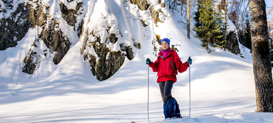 Tag på alletiders skitur ved Lemonsjøen, som byder på fremragende forhold under skieferien.