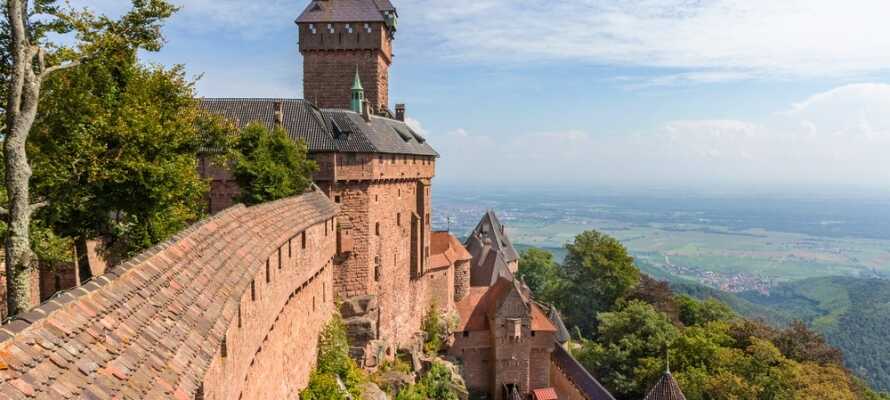 Här bor ni i natursköna omgivningar med slottet Château du Haut-Koenigsbourg som en av de närmsta grannarna.