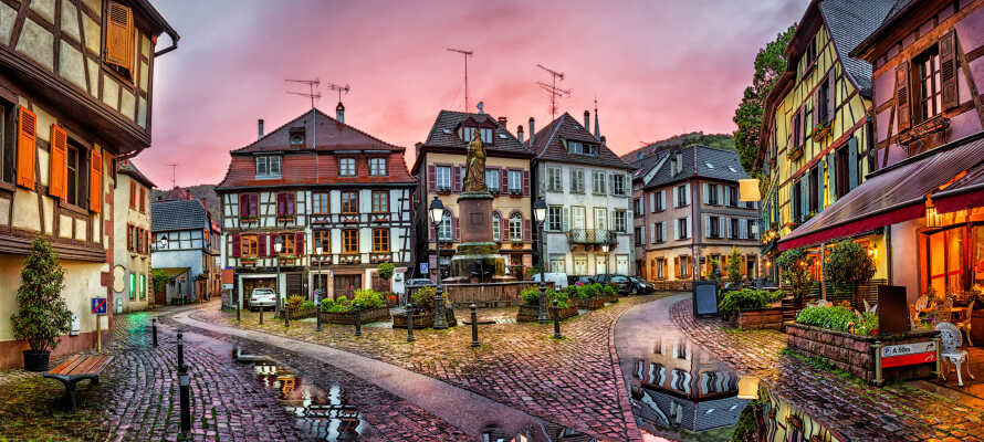 Passa på att åka på utflykt och upplev några av de trevliga närliggande byarna såsom Ribeauville, Riquewihr och Eguisheim.