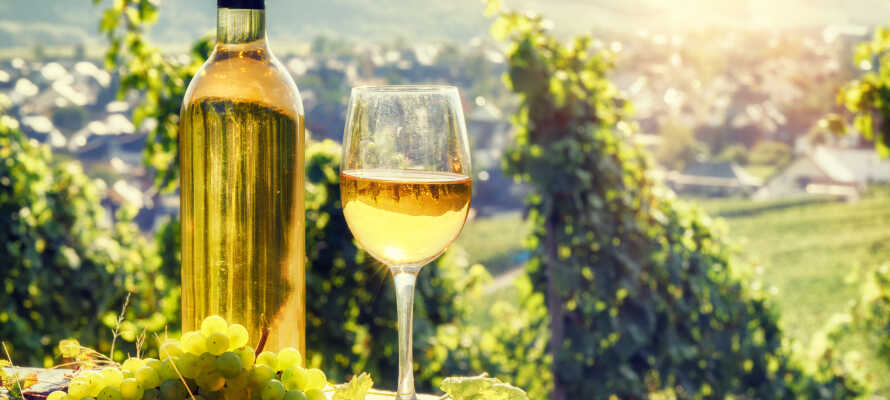 Missa inte att smaka på regionens läckra viner och ta del av vinprovningar och guidade turer hos lokala vinodlare.