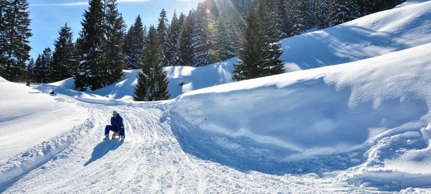 Med en vinterferie her kan I bl.a. kælke og stå på ski eller snowboard i bjergene, i op til 1.000 meters højde.