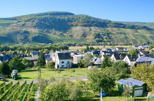 Hotel Moselblick