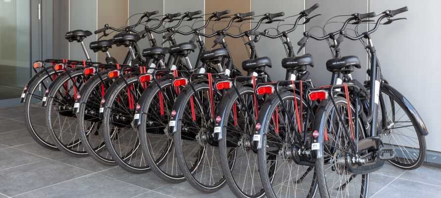 Tag vara på möjligheten till att hyra cyklar på hotellet tillsammans med ressällskapet.