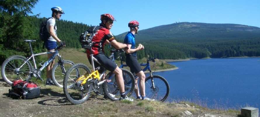 Der er rig mulighed for aktiv ferie i området, hvad enten man er til racer cykler eller mountain bikes.
