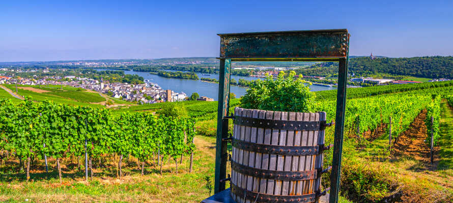 Regionen er kendt for sine udsøgte vine, og mange af områdets vingårde tilbyder smagninger og guidede ture.