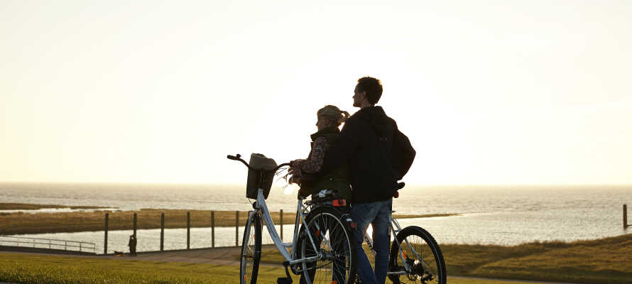 Den sydvestjyske natur indbyder til skønne vandre- og cykelture.