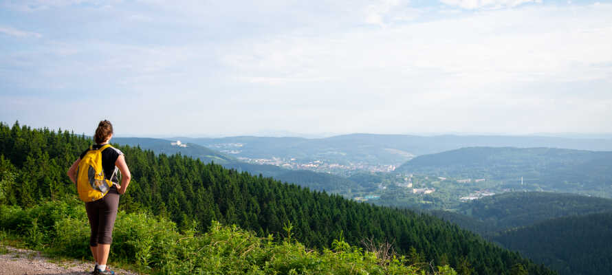 Udforsk den smukke natur i og omkring Thüringer Wald.