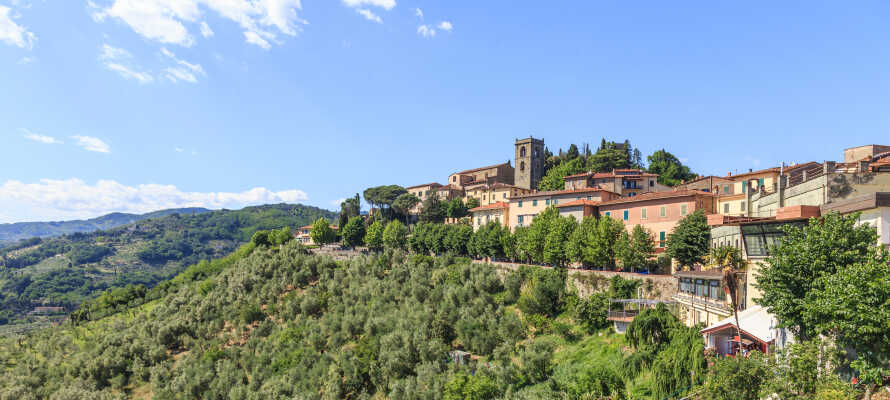 Hotel Tuscany Inn ligger i hjertet af den toscanske kurby, Montecatini Terme, og tilbyder en varm atmosfære.