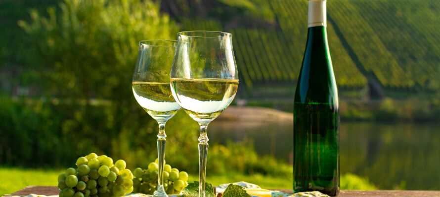 Udforsk det smukke vinområde med vandre- eller cykelture, og smag på de lækre druer.