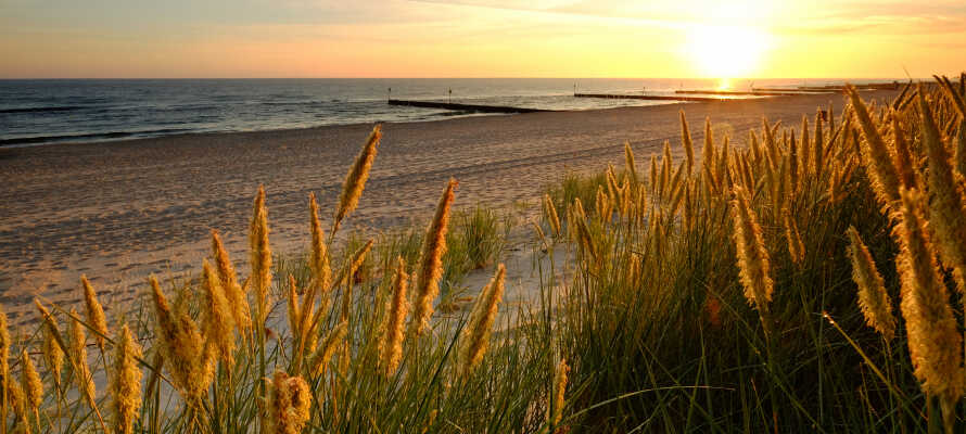 Hotellet ligger kun 200 m fra den smukke strand ved Østersøen.