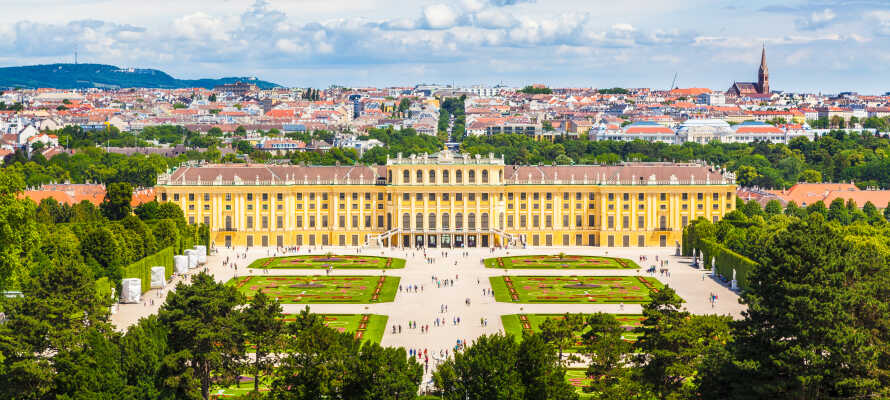 Der venter store oplevelser i den kejserlige hovedstad, med storslået arkitektur, som f.eks. ved Schönbrunn-slottet.