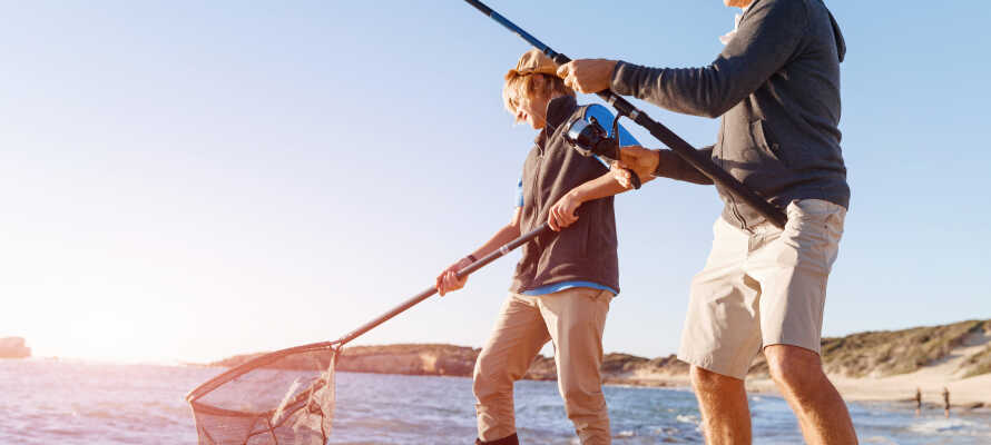 Uanset om du fisker, windsurfer eller cykler:, så kan du tilbringe en aktiv ferie ved Bodden og Østersøkysten.