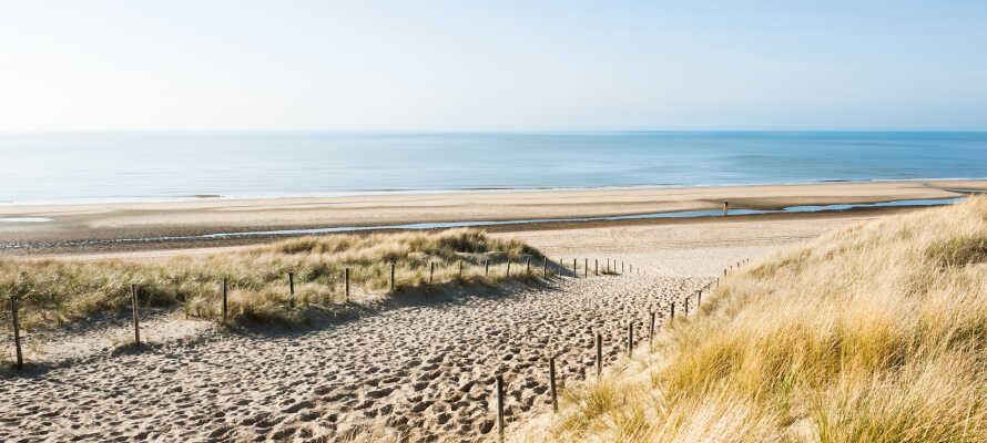 Golden Tulip Noordwijk Beach har en suveræn beliggenhed, direkte ved stranden