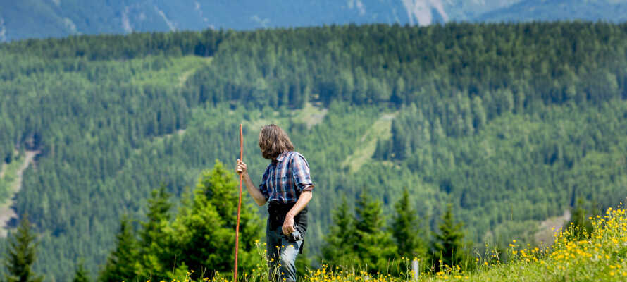 Den bedste måde at opleve Schwarzwald er på vandre- eller trekkingtur.