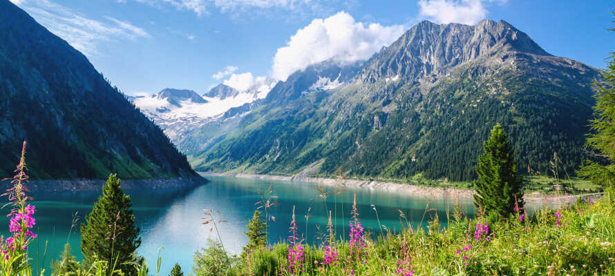 Nyd den pragtfulde natur blandt bjergene i ’Hochgebirgs-Naturpark Zillertaler Alpen’.
