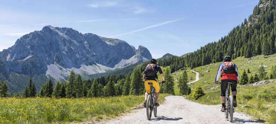 Zillertal er perfekt til aktiv ferie med vandreture, cykelture og klatring.
