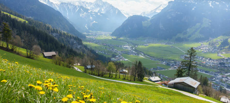 Alpenhotel Stefanie har en panoramisk beliggenhed i Zillertal, lige nord for Mayrhofen.