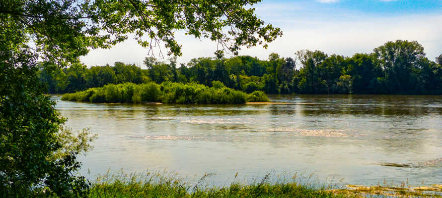 Utforska de vackra omgivningarna i Loire-dalen där ni kan vandra vid floden