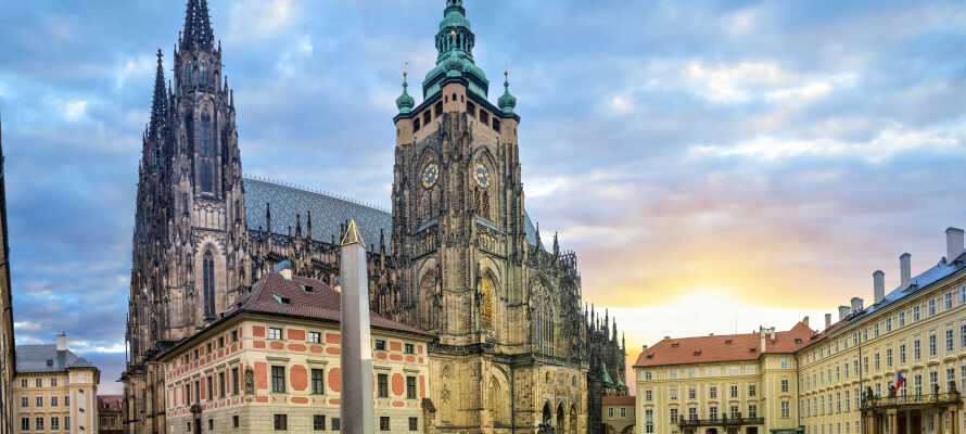 St. Veith katedralen går tilbage til det 9. århundrede. Der er en storslået udsigt over Prag fra kirketårnet.