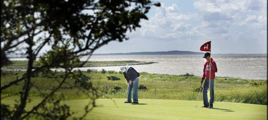 Lige ved siden af hotellet ligger Løgstør Golfklubs 18 hullers golfbane, som strækker sig helt ned til Limfjorden.