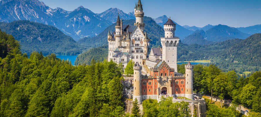 Besøg områdets magiske slotte, såsom Neuschwanstein, Hohenschwangau og Linderhof.