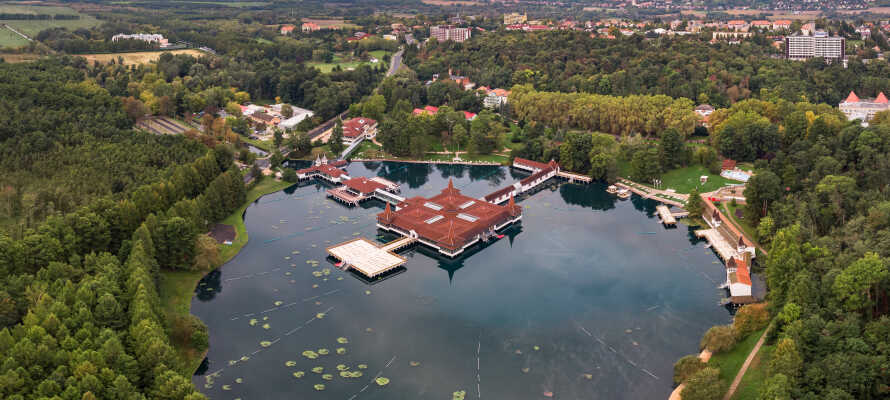 Den termiske sø Hévíz inviterer dig til at svømme eller gå en tur rundt om søen.
