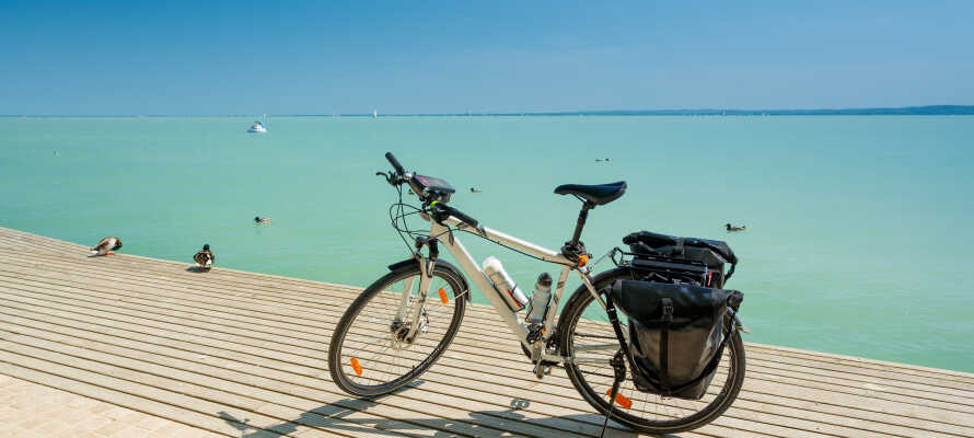 Du kan nemt udforske Balatonsøen på cykel.