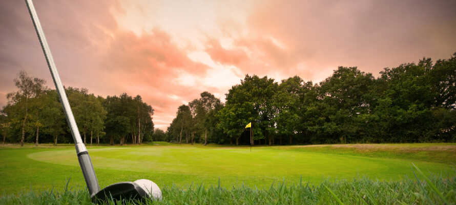 För golfintresserade har hotellet ett perfekt läge med 4 golfbanor inom en 2 mils radie.