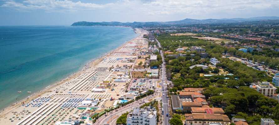 I nærheden, i Riccione og Rimini, kan du nyde sandstrande, kulturelle attraktioner og store begivenheder