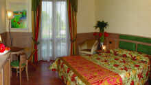 Hotellets standardværelser sørger for I har en god base under Jeres ophold ved Gardasøen